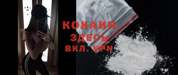 спиды Богданович