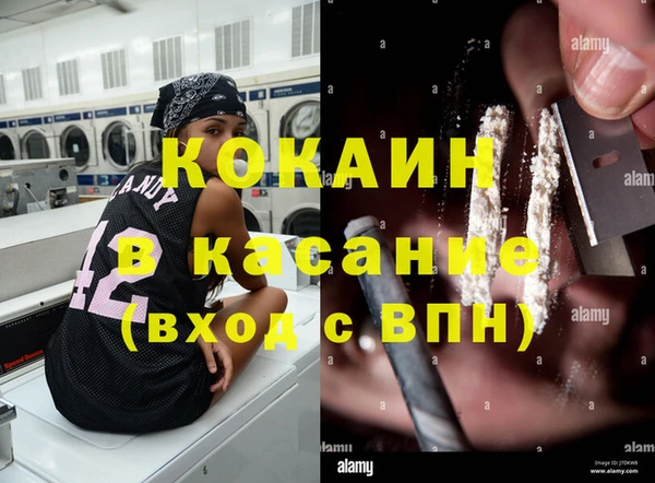спиды Богданович