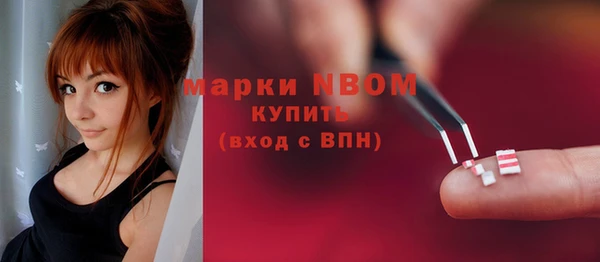 соль ск Богородск
