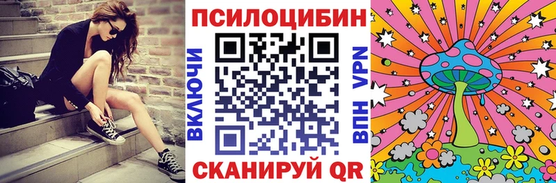 Псилоцибиновые грибы прущие грибы наркота Михайловка