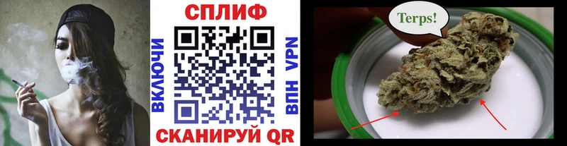 Конопля марихуана Михайловка